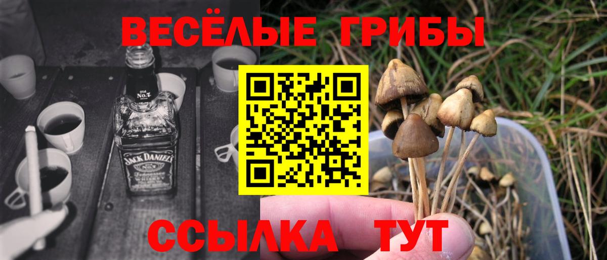 Галлюциногенные грибы Psilocybine cubensis Гусь-Хрустальный